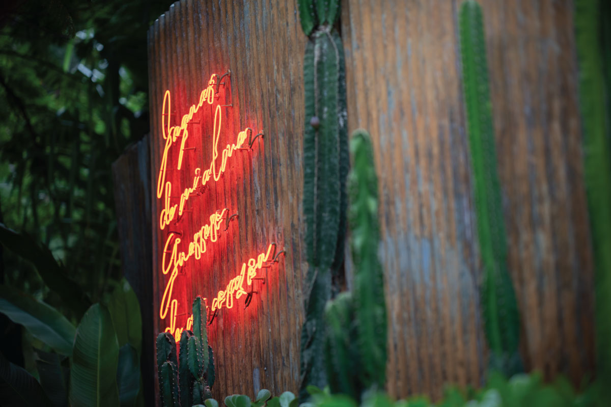 Attali_Escazu_Jaguar_Negro